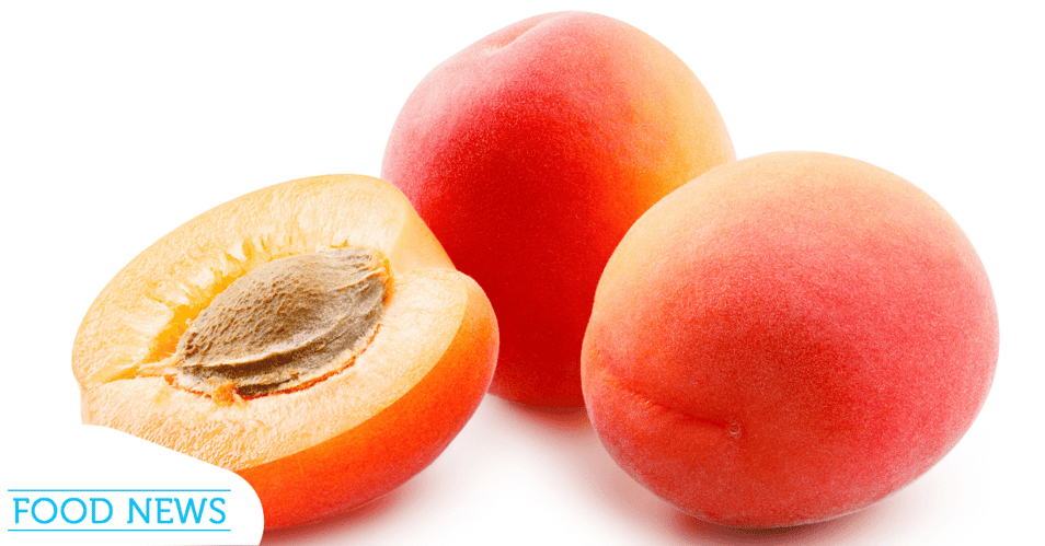 Apricot