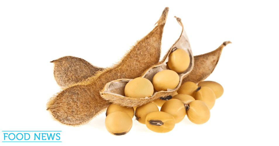 Soy Beans