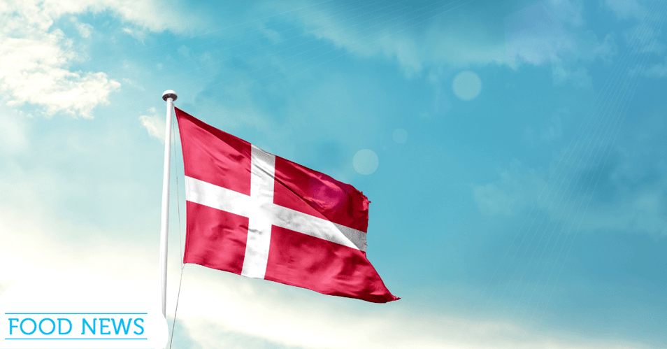 Denmark flag