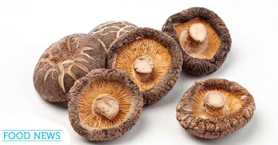 Edible Dried Fungi