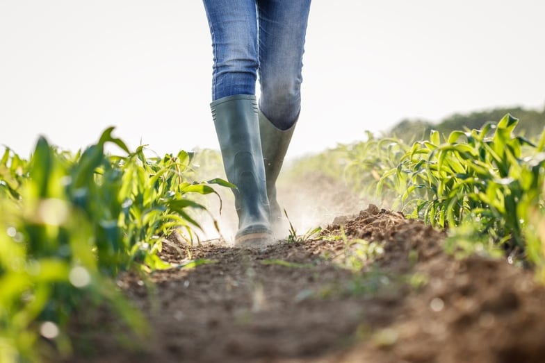 Trace One | Where Natural Disasters Are Having the Biggest Impact on the Nation's Food Supply