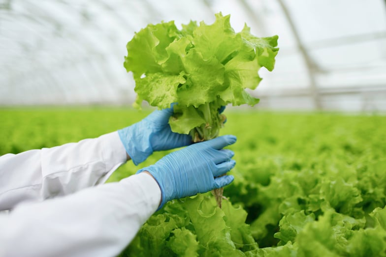 States With the Highest Rates of Foodborne Illnesses | Trace One
