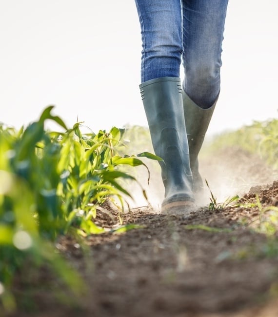 Farmer_drought-2271122975 (1)