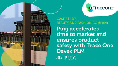 TO_CaseStudy_PLM_Feature_Puig_02