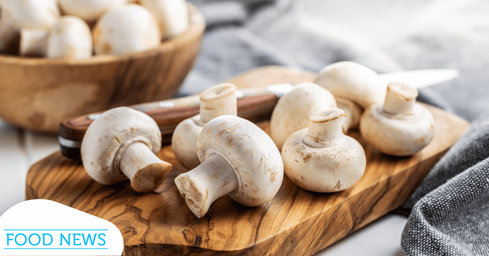 mushroom import
