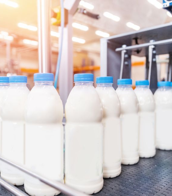 Selerant Devex PLM product data management software for process industries milk bottles on conveyor belt