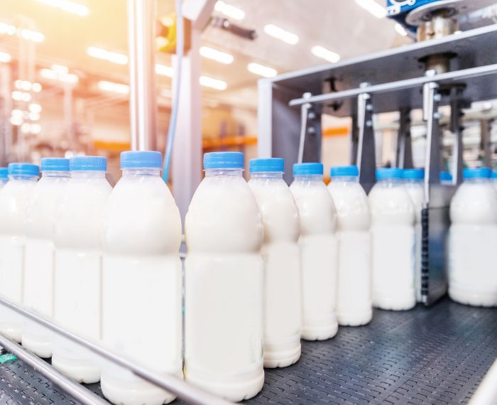 Global dairy manufacturer food safety bottles of milk on conveyor belt