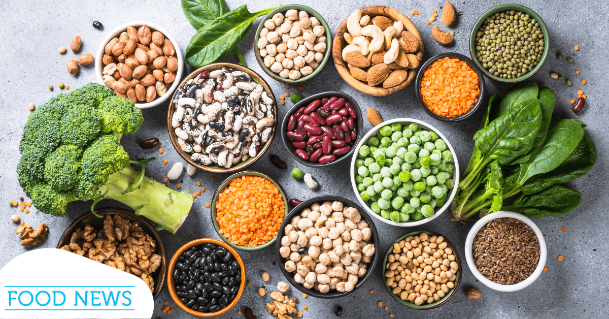 Plant Protein