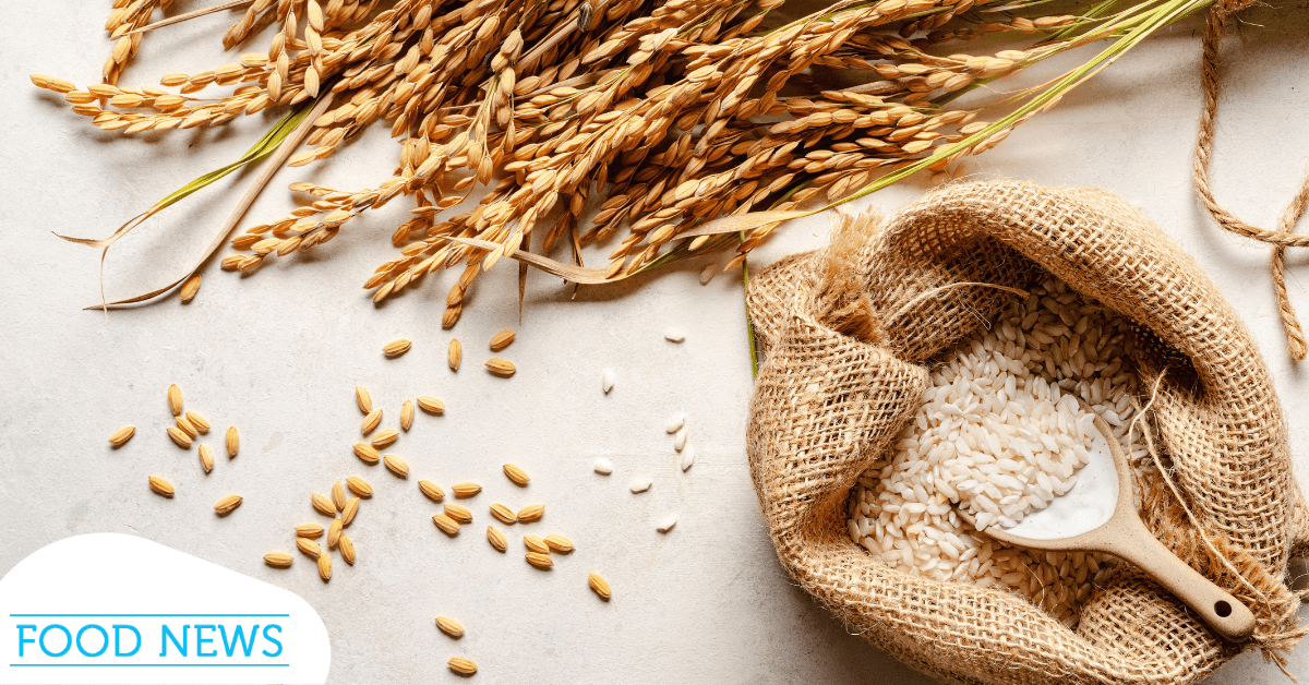 Rice Grains