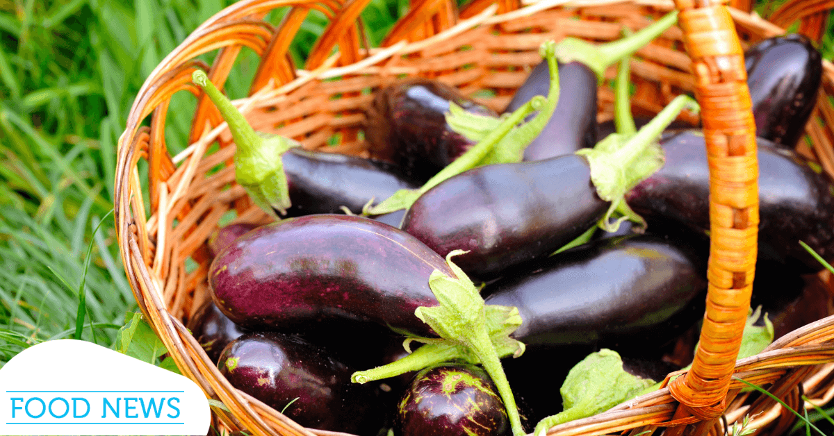 Eggplant